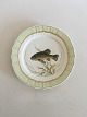 Royal 
Copenhagen 
Green Fish 
Plate No 
919/1710 with 
Tinca Vulgaris. 
25 cm (9 
27/32")