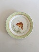 Royal 
Copenhagen 
Green Fish 
Dinner Plate No 
919/1710 with 
Cyprinus 
Auratus. 25 cm 
(9 27/32")