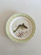 Royal 
Copenhagen 
Green Fish 
Plate No 
919/1710 with 
Gadus Morrhua. 
25 cm (9 
27/32")