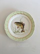 Royal 
Copenhagen 
Green Fish 
Dinner Plate No 
919/1710 with 
Micropterus 
Salmonides. 25 
cm (9 27/32")