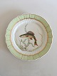 Royal 
Copenhagen 
Green Fish 
Plate No 
919/1710 with 
Thymallus 
Vulgaris. 25 cm 
(9 27/32")