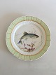 Royal 
Copenhagen 
Green Fish 
Dinner Plate No 
919/1710 with 
Clupea 
Harengus. 25 cm 
(9 27/32")