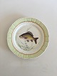 Royal 
Copenhagen 
Green Fish 
Plate No 
919/1710 with 
Cyprinus 
Carpio. 25 cm 
(9 27/32")