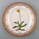 Royal Copenhagen Flora Danica dinner plate # 20/3549.
