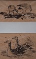 Leif Rydeng: b. 
Elsinore 1913 
d., 1975. Well 
listed danish 
artist.
Two bird 
studies.
Signed. ...