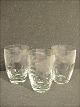 water glass 
with 
vindrueranke.
 Holmegaard.
  Height: 8.5 
cm
 Contact for 
price