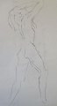 click to zoom