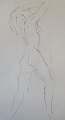 Nathorst 
Westfeldt, 
Karin (1921 - 
2013) Denmark. 
A model. 
Drawing. Signed 
.: Monogram. 42 
x 30 ...