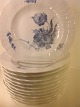 Blue Flower 
curved edge.
  dinner flat 
25.5 cm.
  Royal 
Copenhagen RC 
No. 10-1621
0 pcs. in ...