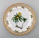 Royal Copenhagen Flora Danica pierced plate # 20/3554.
