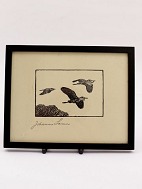 Johannes Larsen woodcut with herons sold