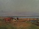 Niels 
Christiansen: 
two cows on the 
meadow, 
probably 
Saltholm or 
Amager. Signed 
N. Chr. ...