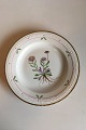 Royal 
Copenhagen 
Flora Danica 
Dinner Plate No 
735/3549. 
Latin name: 
Erigeron 
eriocephalus 
...