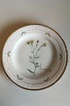 Royal 
Copenhagen 
Flora Danica 
Dinner Plate No 
735/3549. 
Latin name: 
Achillea 
Ptarmica ...