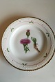 Royal 
Copenhagen 
Flora Danica 
Dinner Plate No 
735/3549. 
Latin name: 
Centaurea ...