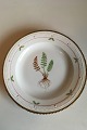 Royal 
Copenhagen 
Flora Danica 
Dinner Plate No 
735/3549. 
Latin name: 
Woodsia 
ilvensis R. ...