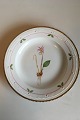 Royal 
Copenhagen 
Flora Danica 
Dinner Plate No 
735/3549. 
Latin name: 
Calypso bulbosa 
L. ...