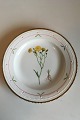 Royal 
Copenhagen 
Flora Danica 
Dinner Plate No 
735/3549. 
Latin name: 
Crepis tectorum
Measures ...