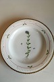 Royal 
Copenhagen 
Flora Danica 
Dinner Plate No 
735/3549. 
Latin name: 
Veronica alpina 
...