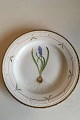 Royal 
Copenhagen 
Flora Danica 
Dinner Plate No 
735/3549. 
Latin name: 
Muscari 
batryoides D. 
...
