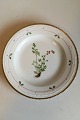 Royal 
Copenhagen 
Flora Danica 
Dinner Plate No 
735/3549.
 Latin name: 
Asplenium Ruta 
...