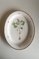 Royal 
Copenhagen 
Flora Danica 
Oval Serving 
Tray No 
735/3517.
Latin name: 
Corydalis 
pumila ...