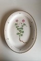 Royal 
Copenhagen 
Flora Danica 
Oval Serving 
Tray No 
735/3519.
Latin name: 
Geranium ...