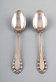 Georg Jensen Lily of the valley silver large soup/dinner spoon.
2 pcs. in stock.