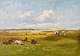 Christiansen, 
Niels Peter 
(1873 - 1960) 
Denmark. Cows 
on a field. 
Hjarbæk Fjord. 
Oil on canvas. 
...
