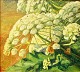 Hindevad, 
Marius (1885 - 
1977) Denmark. 
Hogweed.
Oil on canvas. 
53 x 60 cm. 
Signed: ...