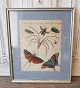 18th century 
hand-colored 
print with 
insects and 
butterflies in 
beautiful 
simple silver 
...