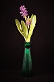 Old hyacinth glass in green color….
SOLD !