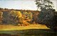 Henrik 
Jespersen (1853 
- 1936): At the 
edge of 
the wood - 
autumn. Oil on 
canvas. Sign.: 
...