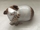Bing & 
Grondahl, 
Guinea Pig 
#2480, 8 cm 
wide, 
1.Sorting, * 
Perfect 
condition *