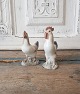 click to zoom