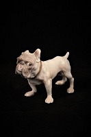 vare nr: B&G Bulldog 1676