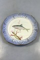Royal 
Copenhagen Blue 
Fish Plate with 
Gold No 
1212/3002. With 
Clupea 
pilchardus. 23 
cm (9 1/16").
