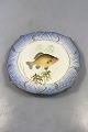 Royal 
Copenhagen Blue 
Fish Plate with 
Gold No 
1212/3002. With 
Cyprinus 
Gibelio. 23 cm 
(9 1/16").