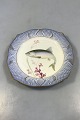Royal 
Copenhagen Blue 
Fish Plate with 
Gold No 
1212/3002. With 
Clupea harengus 
23 cm (9 
1/16").