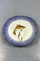Royal 
Copenhagen Blue 
Fish Plate with 
Gold No 
1212/3002. With 
Perca cernua. 
23 cm (9 
1/16").