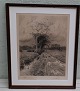 Etching : Peder Mønsted 1900 Landscabe Test Print nr 2   53 x 42.5 cm including 
wooden frame