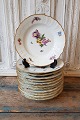Royal 
Copenhagen Full 
Saxon Flower 
Plate 
No. 1622, 
Factory first.
Diameter 23 
cm.
Stock: 12
