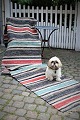 Old Swedish 
cloth rug in 
fine colors and 
good quality. 
Measures: 
465x75cm.