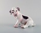 Sealyham puppy 
(No. 2027) by 
Dahl Jensen for 
Bing and 
Grondahl.
1st. factory 
quality. 
Perfect ...