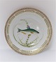 Royal 
Copenhagen. 
Fauna Danica. 
Fish Plate. 
Dinner plate. 
Model # 19 - 
3549. Diameter 
25 cm. (1 ...