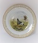 Royal Copenhagen. Fauna Danica. Dinner plate. Model # 240 - 3549. Diameter 25 
cm. (1 quality). Tetrao urogallus