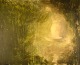 Klicken Sie 
auf ein 
Foto, um 
das große 
Bild sehen