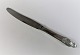 Evald Nielsen 
silver cutlery 
no. 6. Silver 
(830). Fruit 
knife. Length 
18.2 cm.