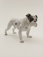 Rosenthal English Bulldog