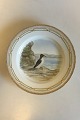Royal 
Copenhagen 
Flora Danica 
Bird Dinner 
Plate No 
240/3549. Latin 
Name: Uria 
aalge 
intermedia. ...
